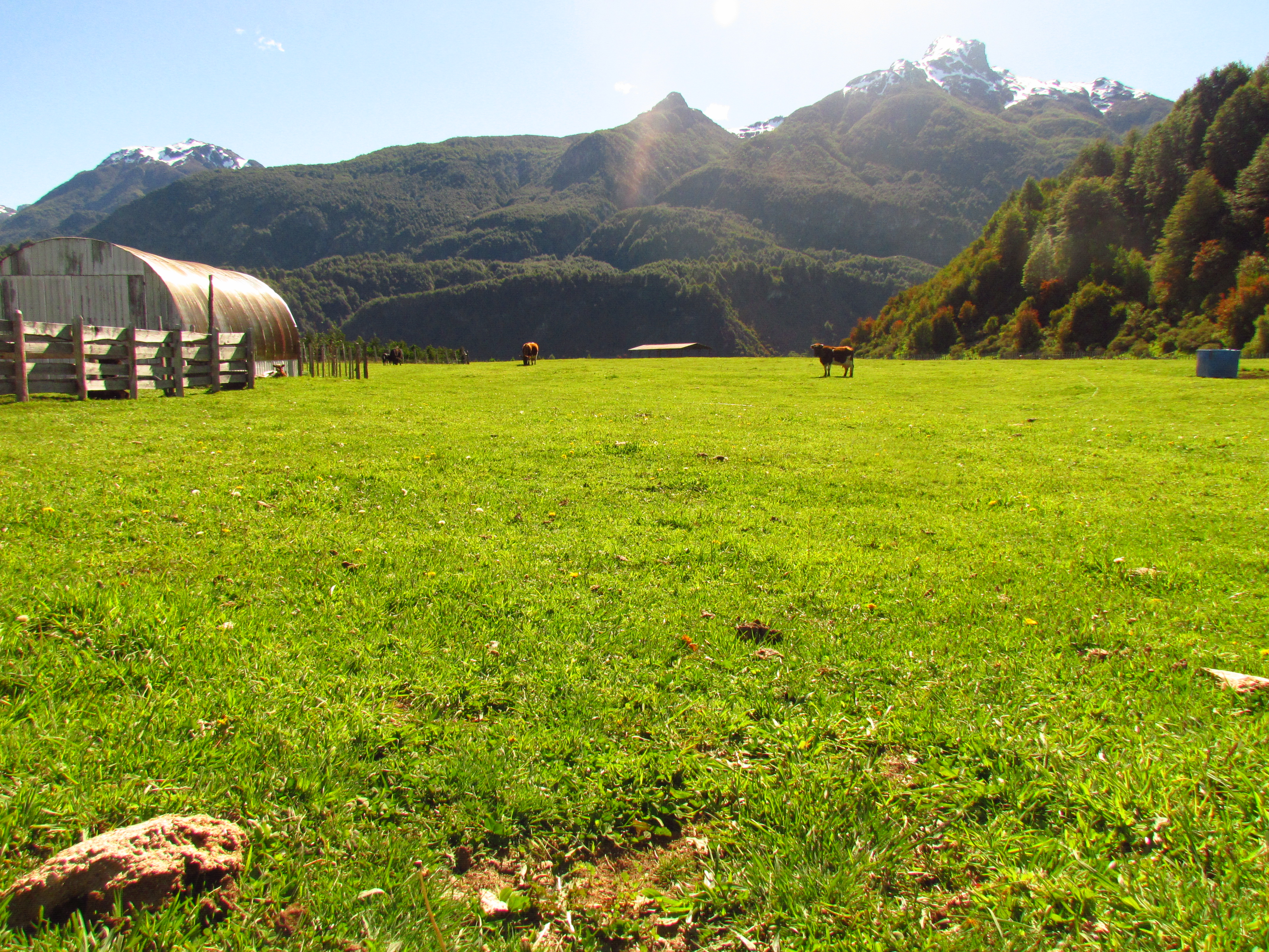Potrero del Fundo La Pampita en 2013 — animales, galpón y montañas nevadas de Aysén